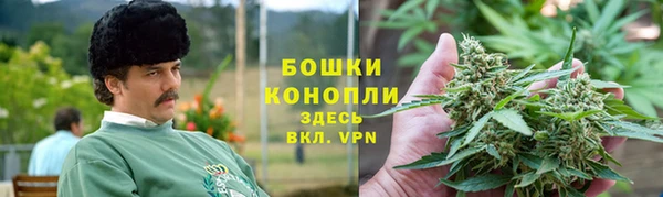 индика Наволоки