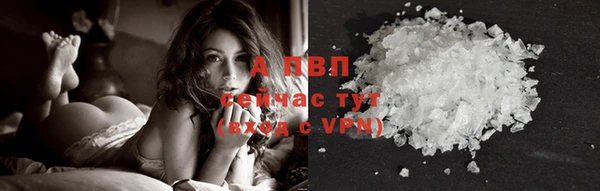 индика Наволоки