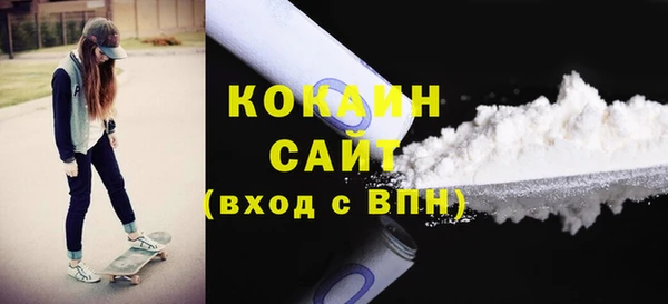 индика Наволоки