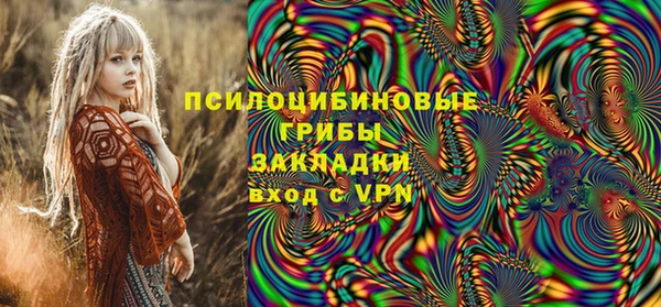 бошки Нея