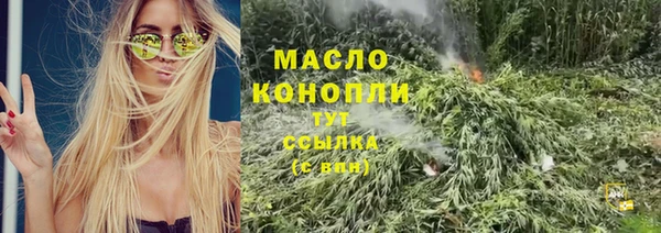 индика Наволоки