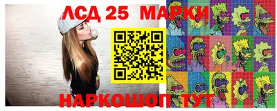 apvp Кингисепп