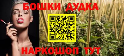 прущие грибы Бийск