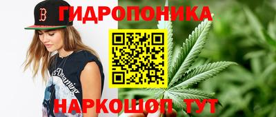 apvp Кингисепп