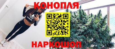 apvp Кингисепп
