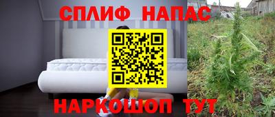 прущие грибы Бийск