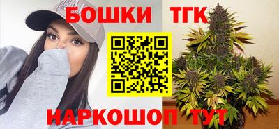 apvp Кингисепп
