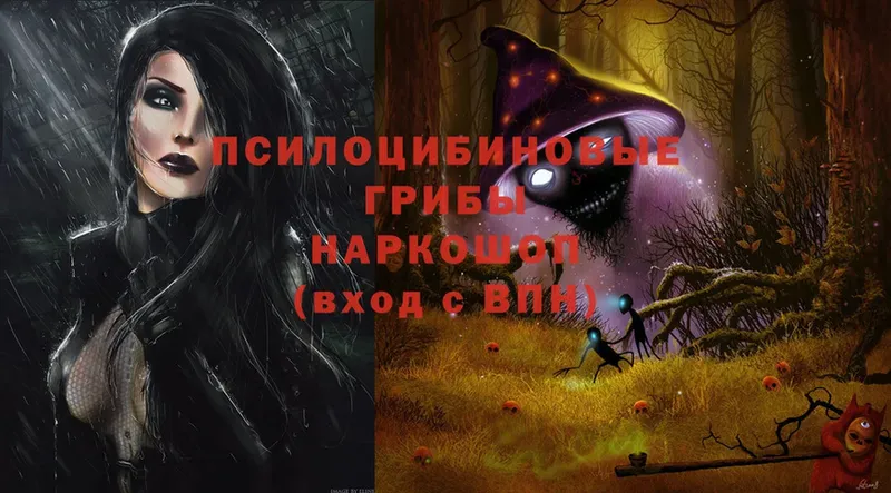 Псилоцибиновые грибы прущие грибы  blacksprut ССЫЛКА  Советская Гавань 