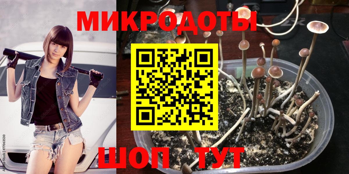 Псилоцибиновые грибы прущие грибы  Галлюциногенные грибы прущие грибы  Вход с VPN  Советская Гавань 